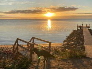 Holiday Home Alpa - 600m from the sea by Interhome