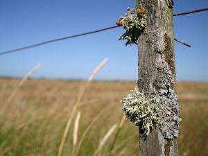 Holiday Home Gisa - 400m from the sea by Interhome