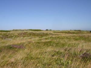 Holiday Home Gisa - 400m from the sea by Interhome