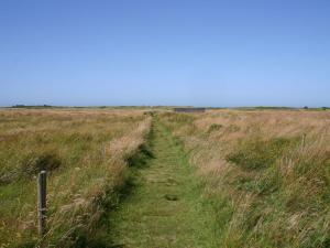 Holiday Home Gisa - 400m from the sea by Interhome