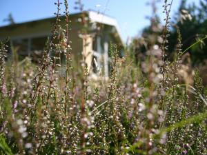 Holiday Home Gisa - 400m from the sea by Interhome