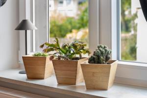 Ferienwohnung Aurelia