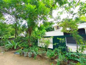 Dinew Villa