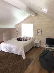 Tuomitie 16 Visit Levi