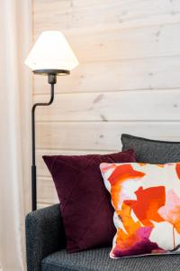 Tuomitie 16 Visit Levi