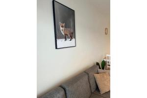 Snowflake XI Family rooms