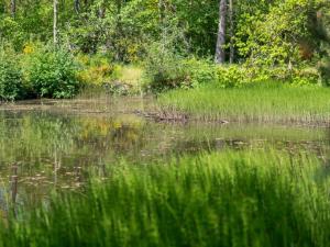 Holiday Home Smilla - 300m from the sea by Interhome