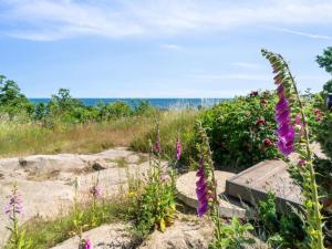 Holiday Home Seetje - 200m from the sea by Interhome