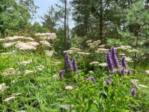 Holiday Home Reinke - 450m from the sea by Interhome