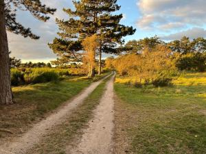 Holiday Home Fietje - 200m from the sea by Interhome