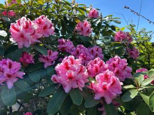 Holiday Home Asta - 1km from the sea by Interhome