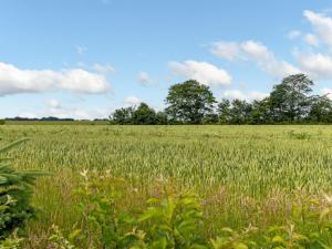 Holiday Home Thrine - 24km from the sea by Interhome