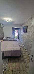 Studio Complex Alfa&Beta Saturn la parter cu terasa