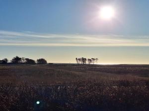 Holiday Home Bodulf - 850m from the sea by Interhome