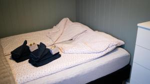 Aurora Apartment very close to cable car and sherpatrappa