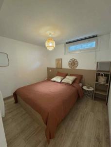 Appartement 1 chambre