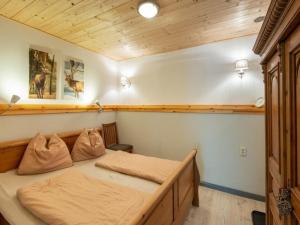 SkiJuwel Appartments Auffach - Wildschönau - Tirol