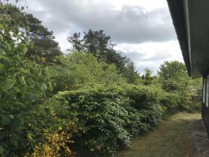 Holiday Home Niyazi - 770m from the sea by Interhome