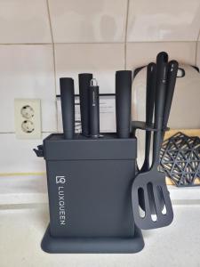 a spacious and comfortable house with a rooftop in the city center