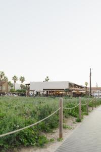 Palms Resort & Cafe on the Beach