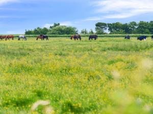 Holiday Home Janin - 400m from the sea by Interhome