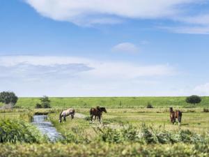 Holiday Home Janin - 400m from the sea by Interhome