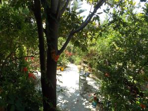 Stamatia's Garden Skopelos Greece