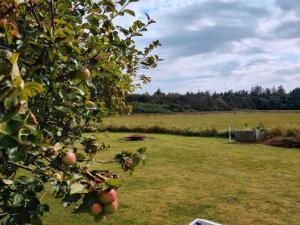 Holiday Home Cillvur - 8km from the sea by Interhome