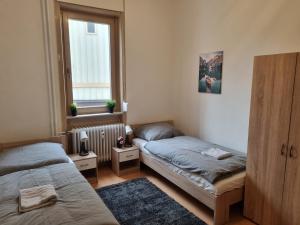 Gemütliches 3 Zimmer Apartment mit Küche und Garten