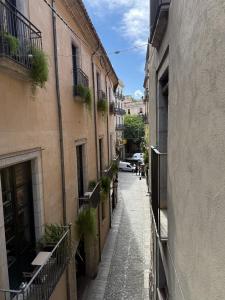 Old town Força nest