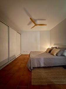 Old town Força nest