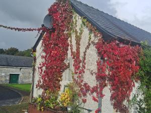 Stone Barn Cottage In Galway Countryside