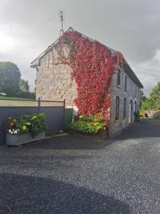 Stone Barn Cottage In Galway Countryside