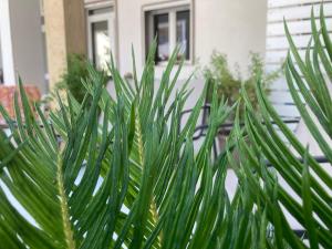 Talia open space di Sulemmari img21