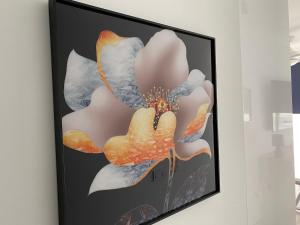 6 building Aloe - Free WiFi, Central, near playa dunes