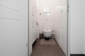 Large Modern City Apartment