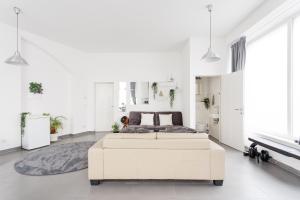 Large Modern City Apartment