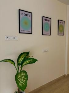 1 BHK Upper Tapovan Eternal Stayz