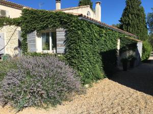 Maisons de vacances Mas Coeur de Provence Calme Luxe Grand Parc : Chambre Double - Vue sur Jardin