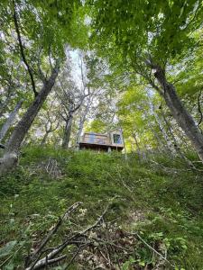 Ananda - Enchanted Forest Hideaway