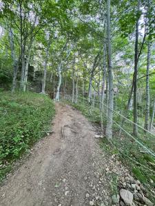 Ananda - Enchanted Forest Hideaway