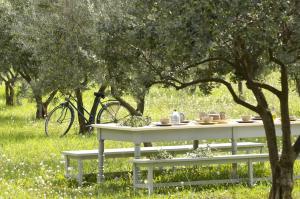 Alegria Studios - en Provence - Piscine avec vue - Terrasse privative