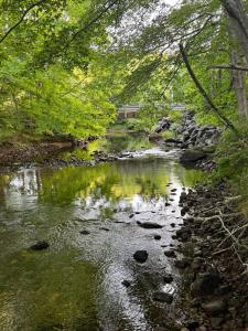 Ananda - Enchanted Forest Hideaway