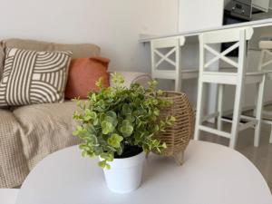 Las Brisas 38, 2 bedrooms and pool