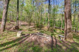 Shenandoah National Park: Cabin w Patio!