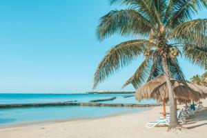 Puerto Aventuras 2 Dorm-Piscina-Playa-Riviera Maya