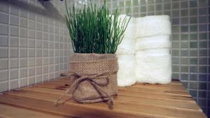 Apartamento y Terraza junto al Mar con piscina