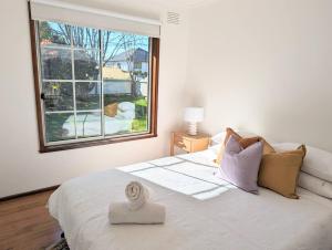 Gwendoline Cottage, Pets, Main St. Station