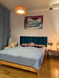 Scenic View Apartments