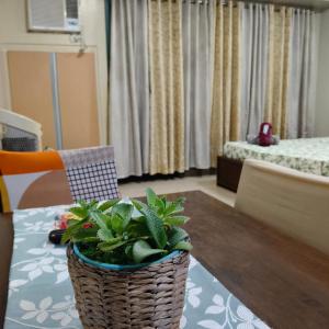 LDN Secret Crib 5K- Two Palm Tree